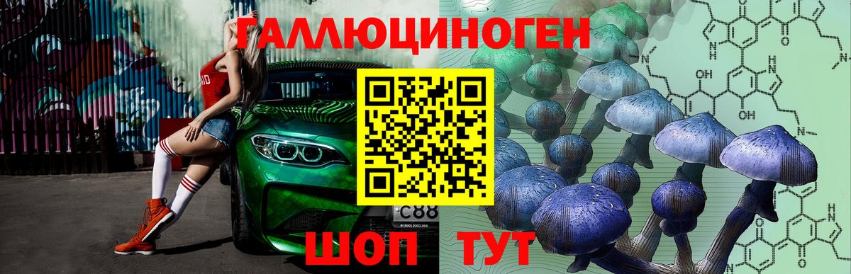 Сланцы  Галлюциногенные грибы Psilocybine cubensis  Вход с VPN 