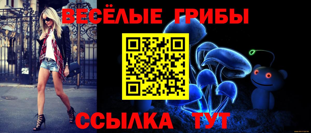 Галлюциногенные грибы GOLDEN TEACHER Сланцы